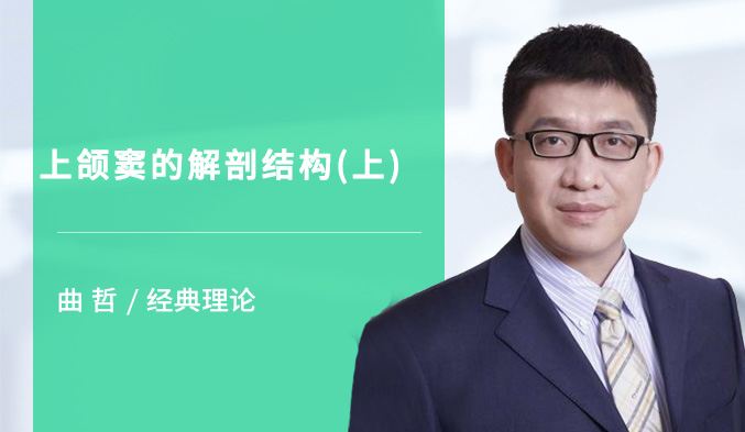 上颌窦的解剖结构（上）